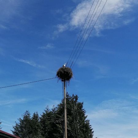 Schwarzwald Appartement ستينن المظهر الخارجي الصورة