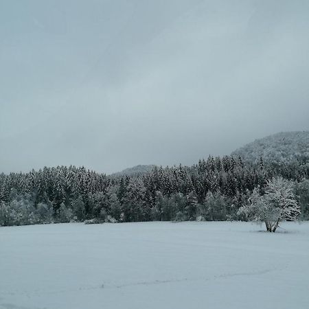 Schwarzwald Appartement ستينن المظهر الخارجي الصورة