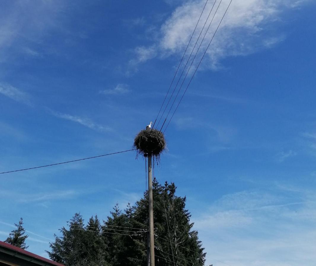 Schwarzwald Appartement ستينن المظهر الخارجي الصورة