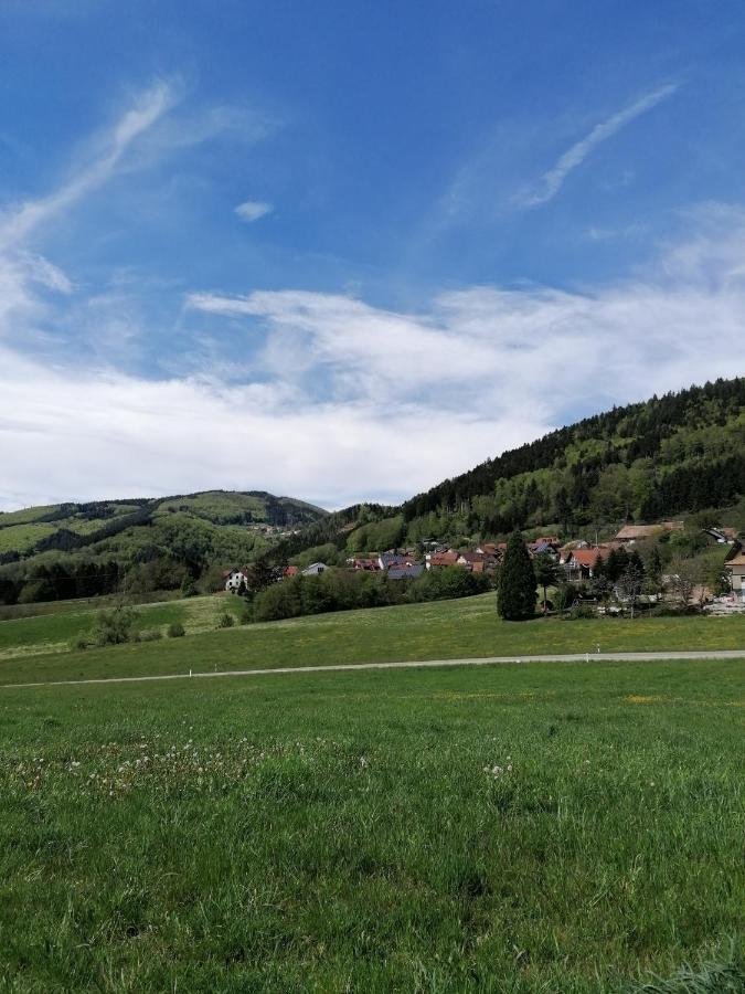 Schwarzwald Appartement ستينن المظهر الخارجي الصورة