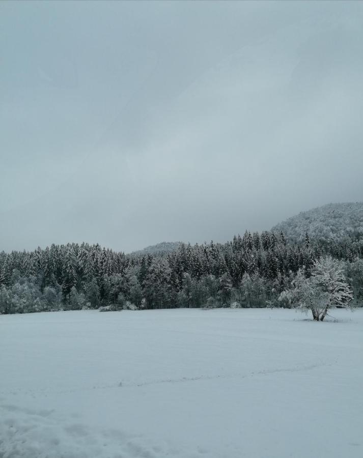 Schwarzwald Appartement ستينن المظهر الخارجي الصورة