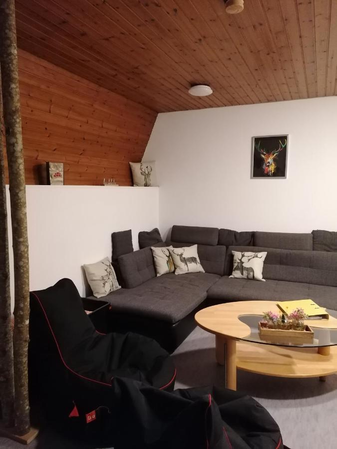 Schwarzwald Appartement ستينن المظهر الخارجي الصورة