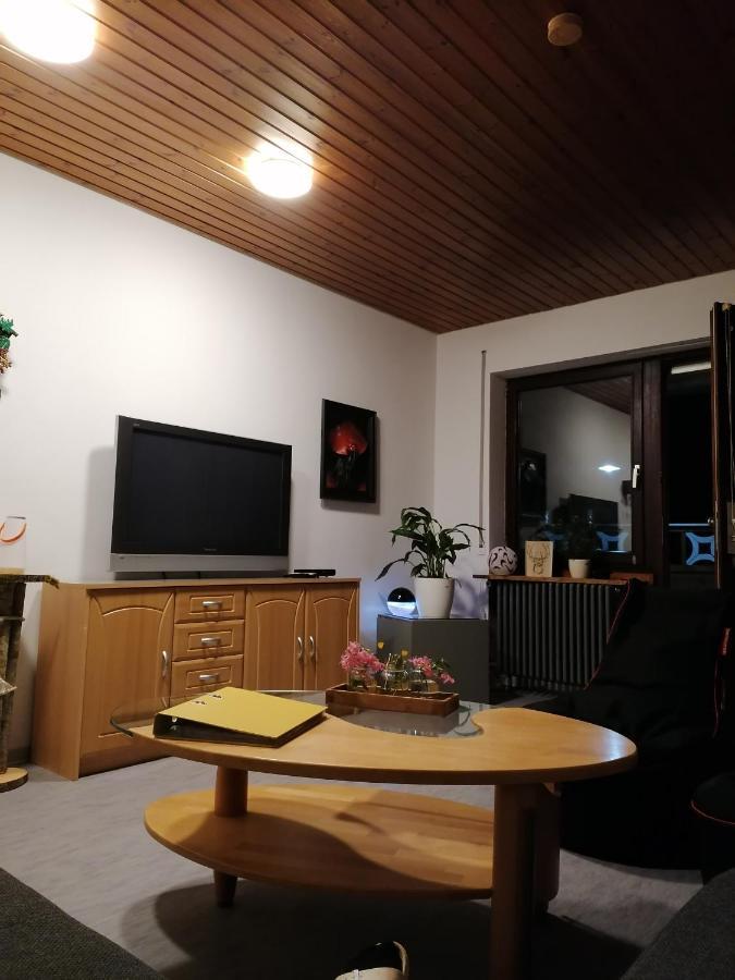 Schwarzwald Appartement ستينن المظهر الخارجي الصورة