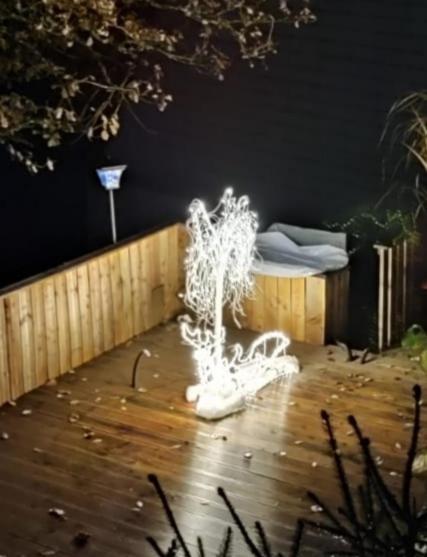 Schwarzwald Appartement ستينن المظهر الخارجي الصورة